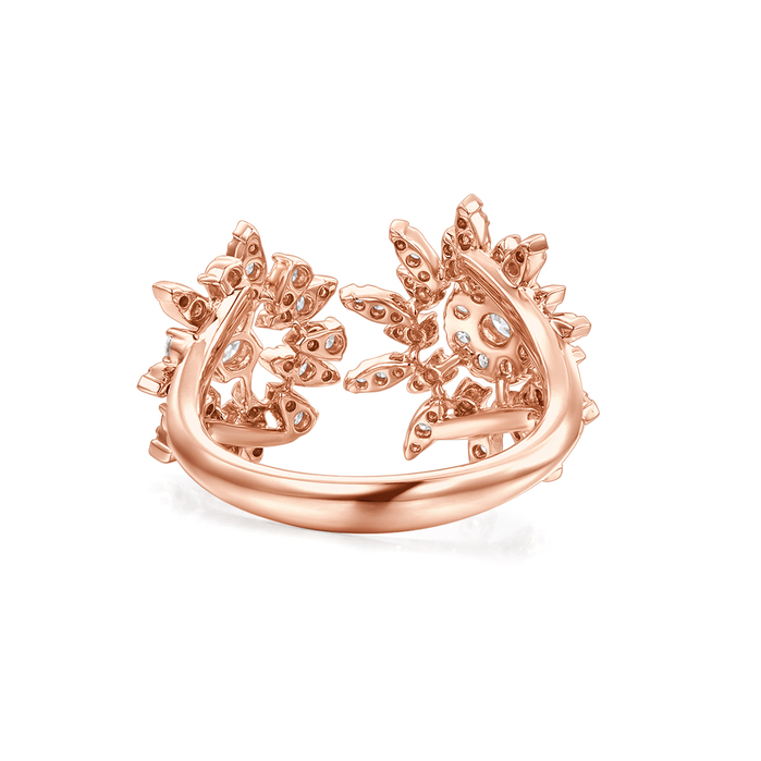 Aerial Double Sunburst Ring