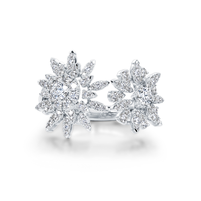 Aerial Double Sunburst Ring