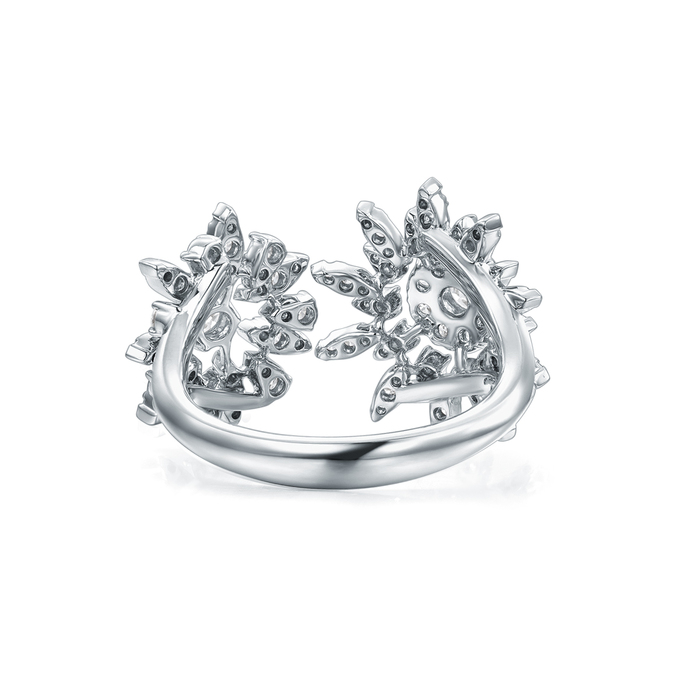 Aerial Double Sunburst Ring