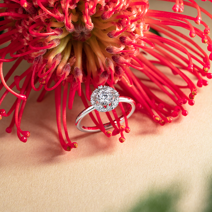 Aerial Marquise Halo Diamond Engagement Ring