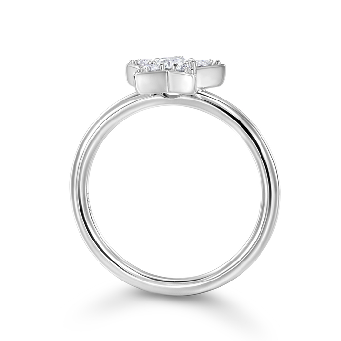 Illa Cluster Ring